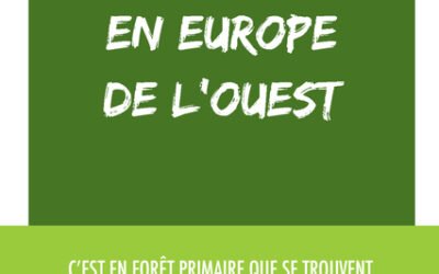 Pour une forêt primaire en Europe de l’Ouest – Le nouveau manifeste de Francis Hallé