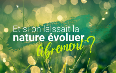 Animal Cross sort son reportage « Et si on laissait la nature évoluer librement ? »