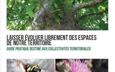 NOUVEAU ! Un guide pratique sur la libre évolution pour les collectivités territoriales