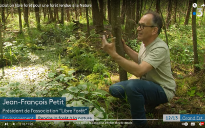 L’association Libre Forêts achète des bouts de forêt pour les laisser évoluer librement et pour les rendre à la nature