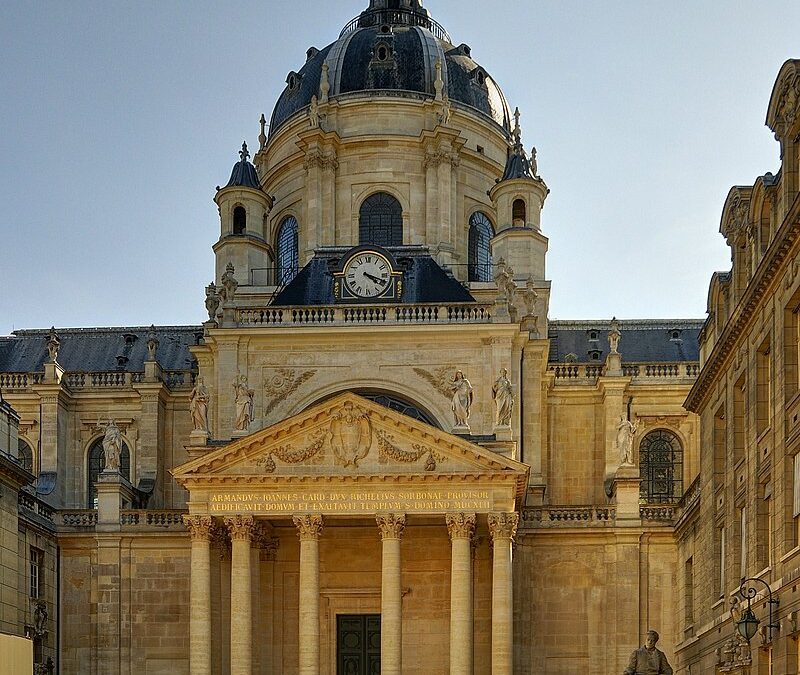 La libre évolution : outil de gestion forestière ou philosophie du non agir ? par Marie Lemière