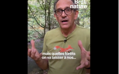 L’association Libre Forêt raconte à BRUT pourquoi racheter des forêts pour les mettre en libre évolution