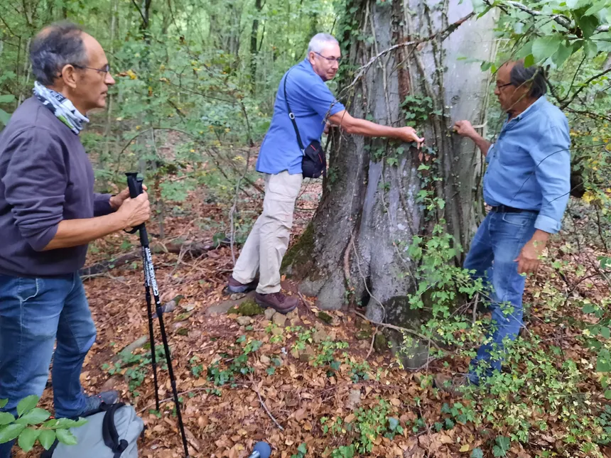 L’arbre a-t-il besoin de la main de l’humain ?