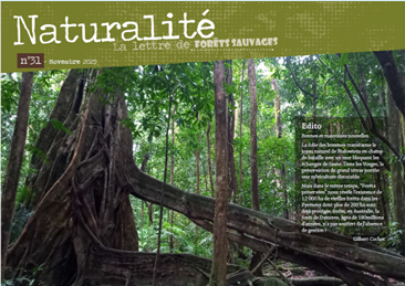 Naturalité n°31 est disponible !